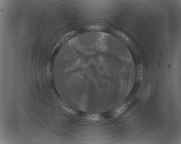 X0000081360377200702020146