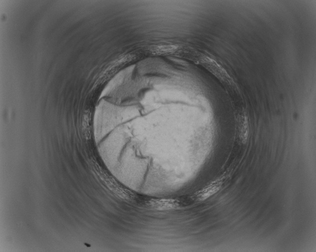 X0000081360378200702020146