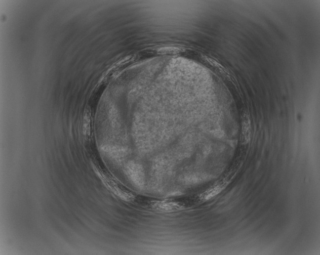 X0000081360379200702020146