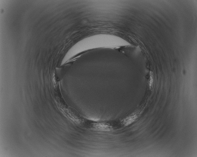 X0000081360380200702020146