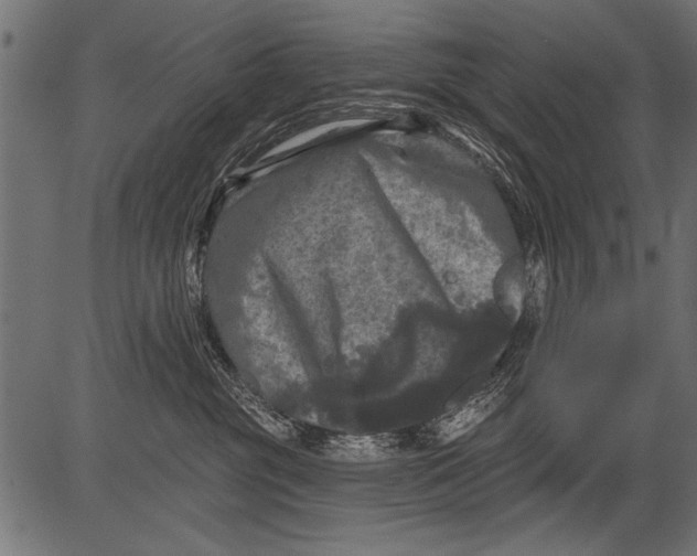 X0000081360381200702020146