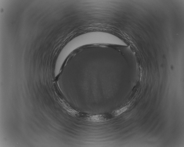 X0000081360382200702020146