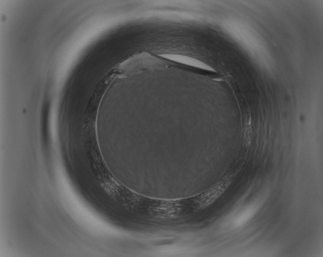 X0000081360383200702020146