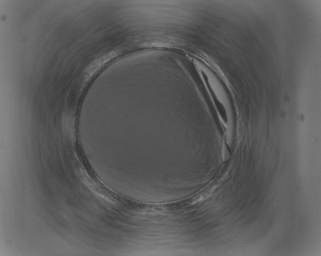 X0000081360386200702020145