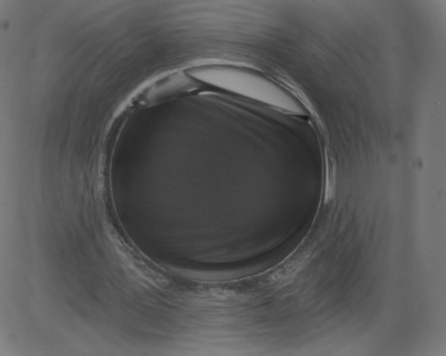 X0000081360387200702020145