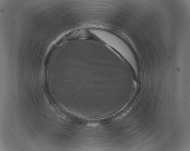 X0000081360388200702020145