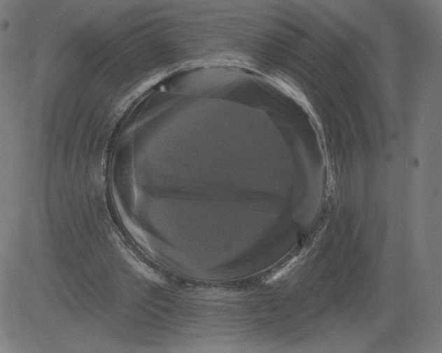 X0000081360389200702020145