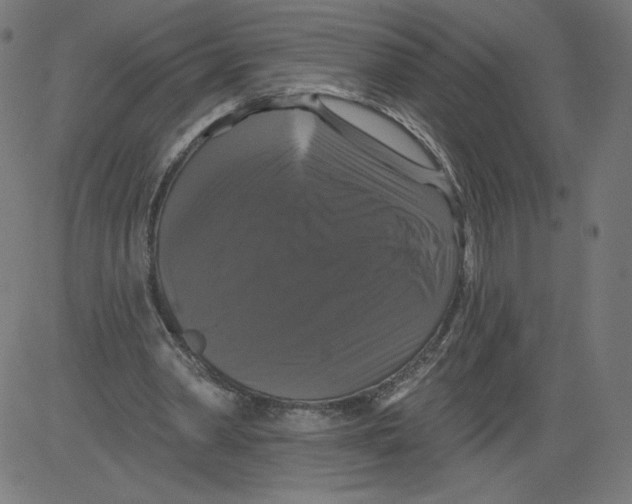 X0000081360390200702020145