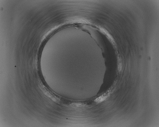 X0000081360391200702020145