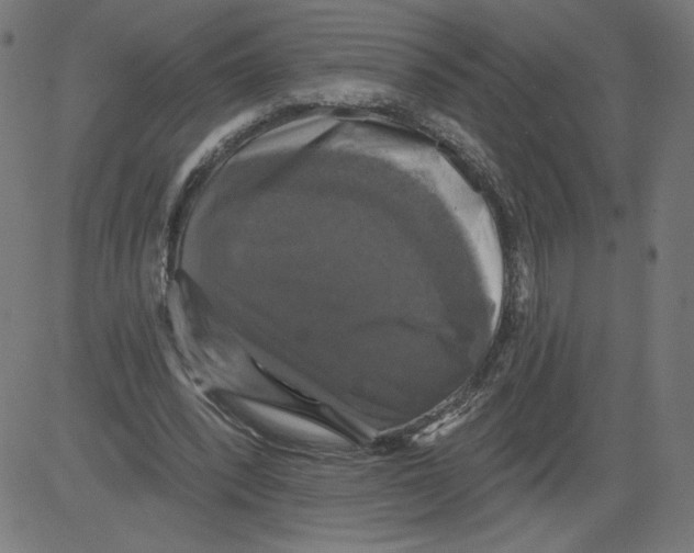 X0000081360392200702020145