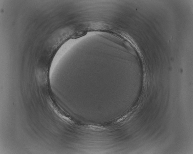 X0000081360393200702020145