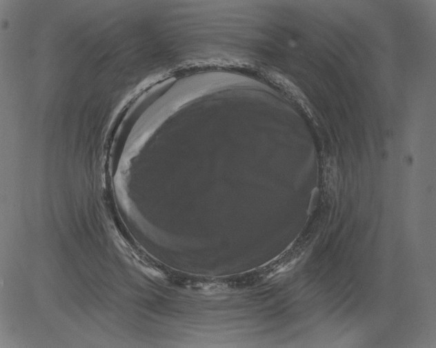 X0000081360395200702020145