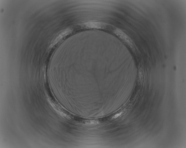 X0000081360398200702020145