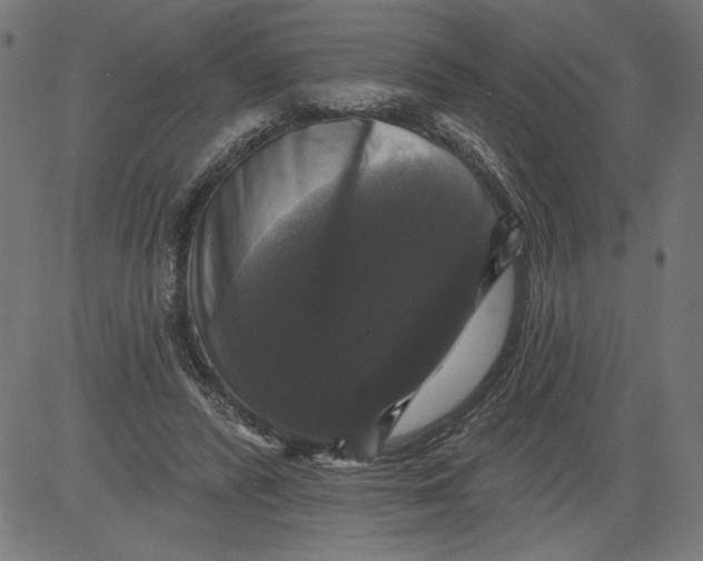 X0000081360400200702020145