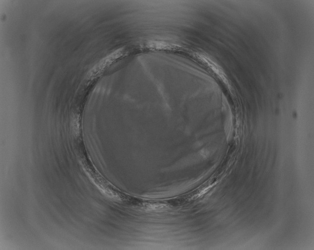 X0000081360401200702020145