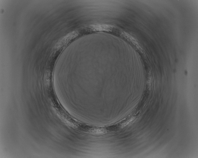 X0000081360402200702020145