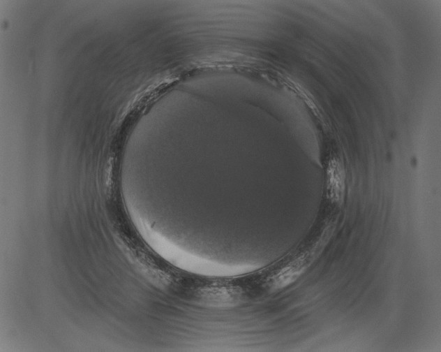 X0000081360404200702020145