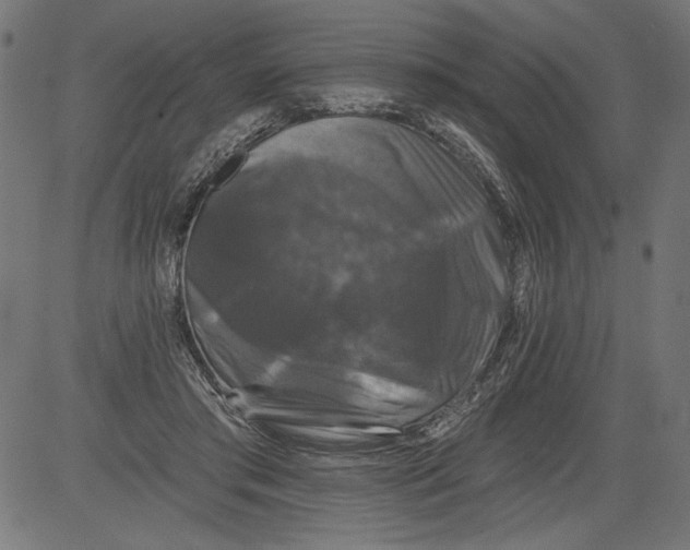 X0000081360405200702020145