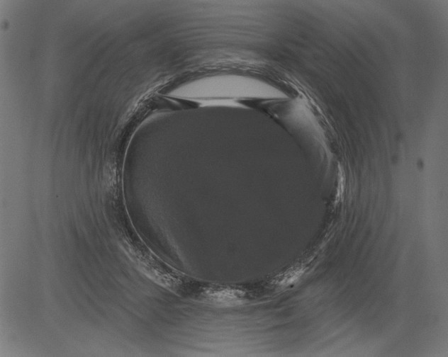 X0000081360407200702020145