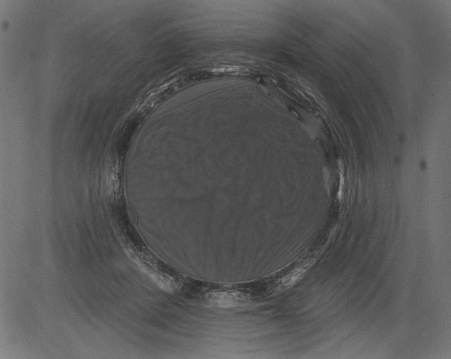 X0000081360408200702020145