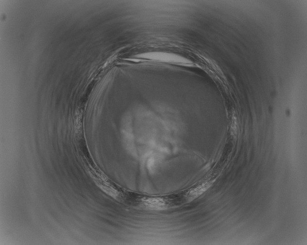 X0000081360409200702020145