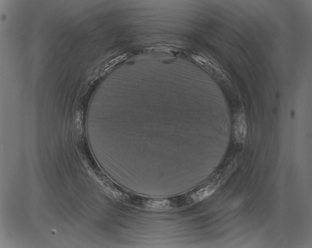 X0000081360410200702020145