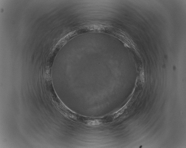 X0000081360411200702020145