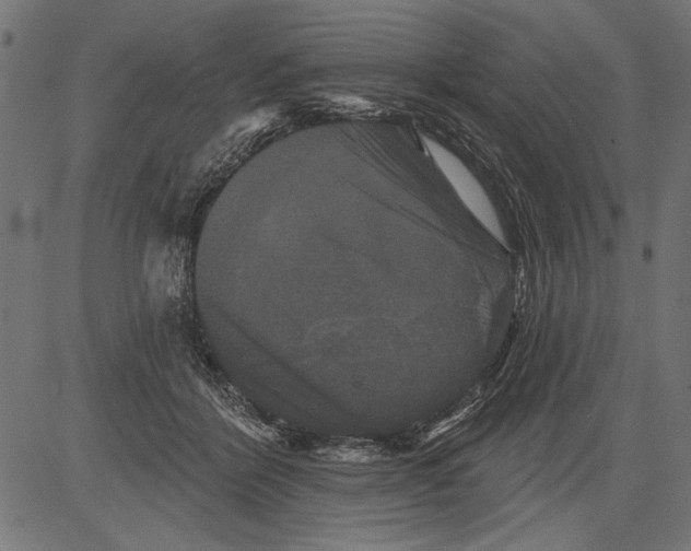 X0000081360412200702020145