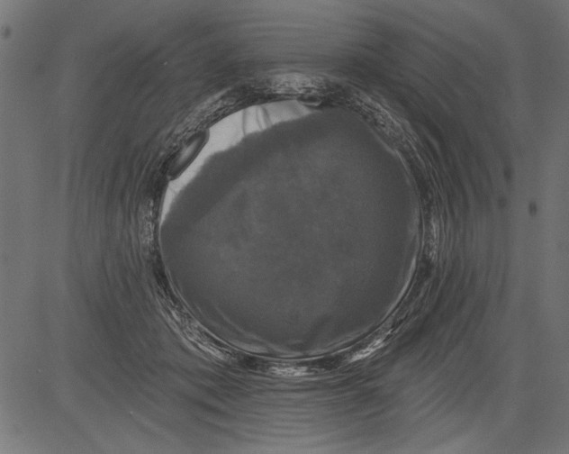 X0000081360413200702020145