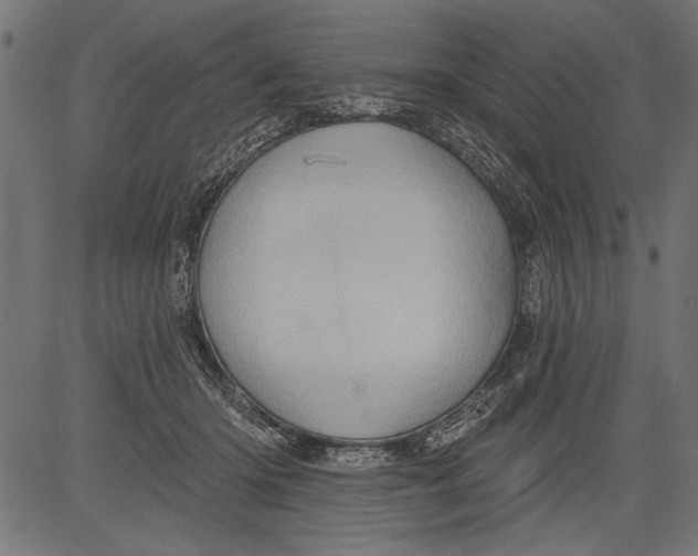 X0000081360414200702020145