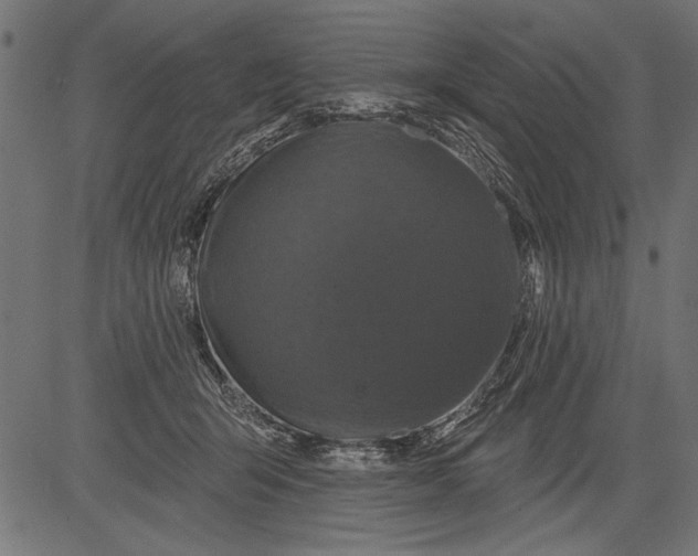 X0000081360415200702020145