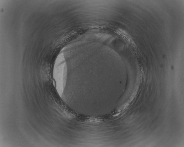 X0000081360416200702020145