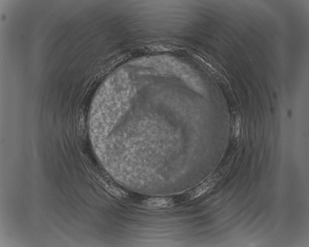 X0000081360418200702020145