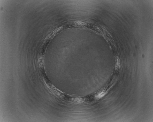 X0000081360419200702020145