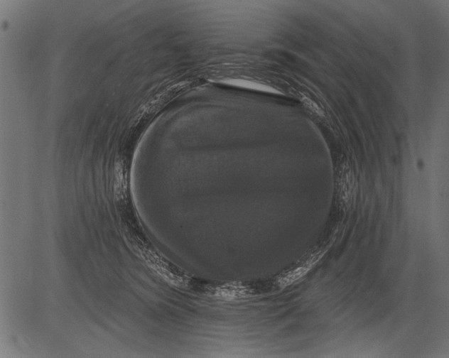 X0000081360420200702020145