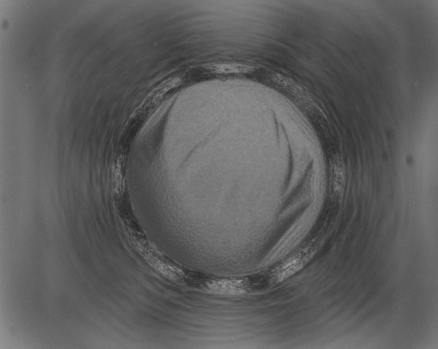 X0000081360422200702020145