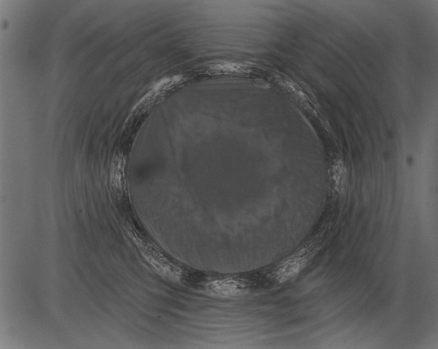 X0000081360423200702020145