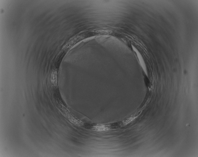 X0000081360425200702020145