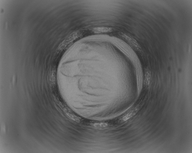 X0000081360426200702020145