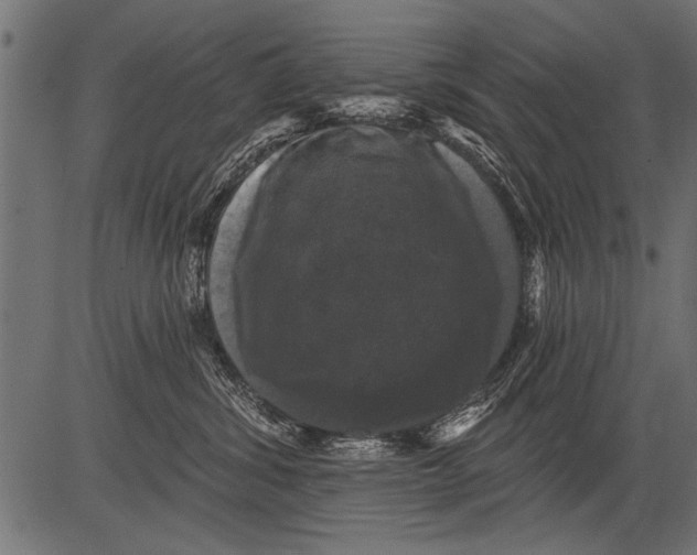 X0000081360428200702020145