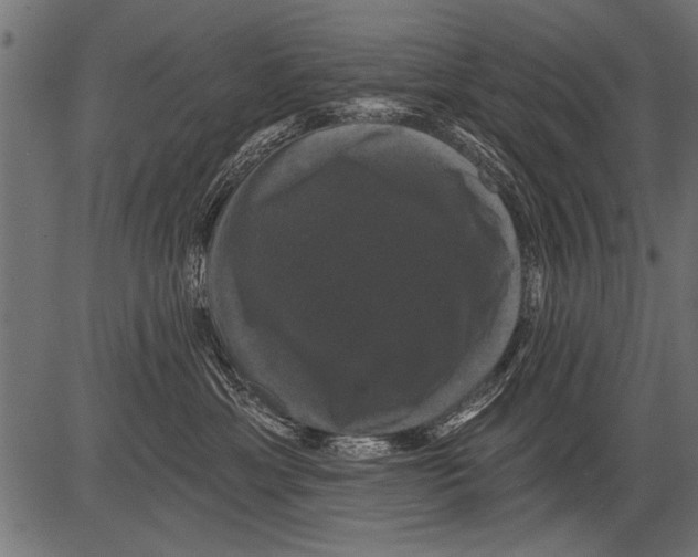 X0000081360429200702020145