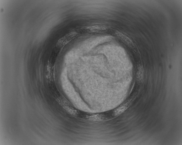 X0000081360430200702020145