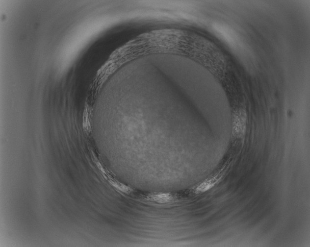 X0000081360431200702020145