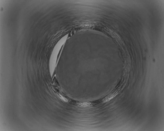 X0000081360432200702020145