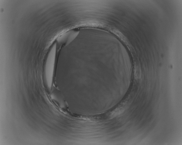 X0000081360434200702020144