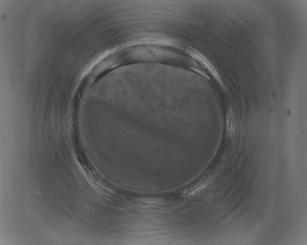 X0000081360436200702020144