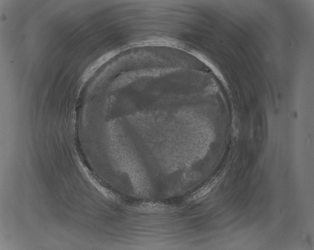 X0000081360437200702020144