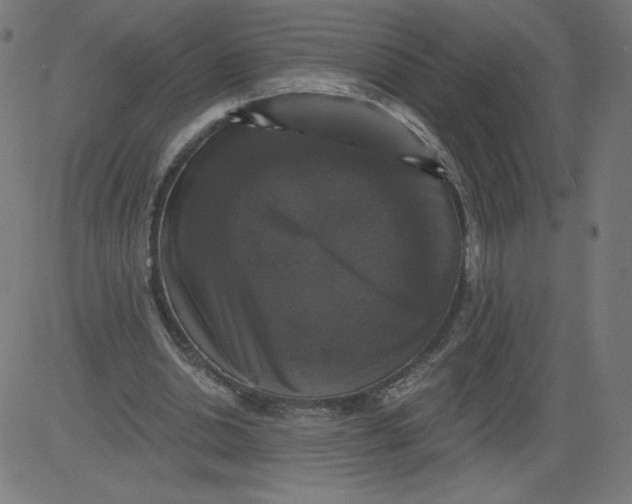 X0000081360438200702020144