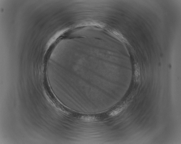 X0000081360440200702020144