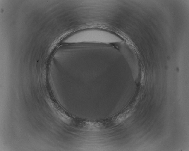 X0000081360442200702020144